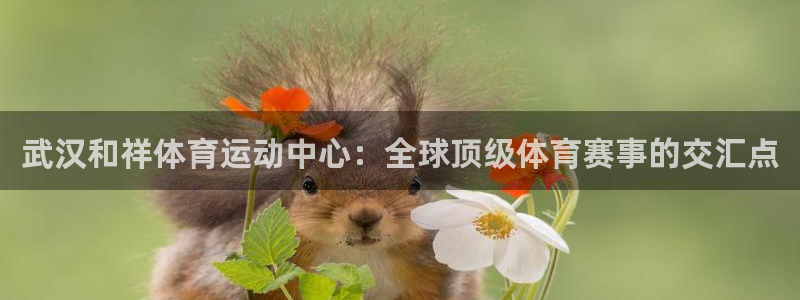 b体育必一运动官网