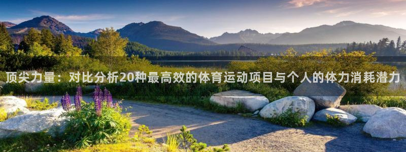 bsports官网 必一运动
