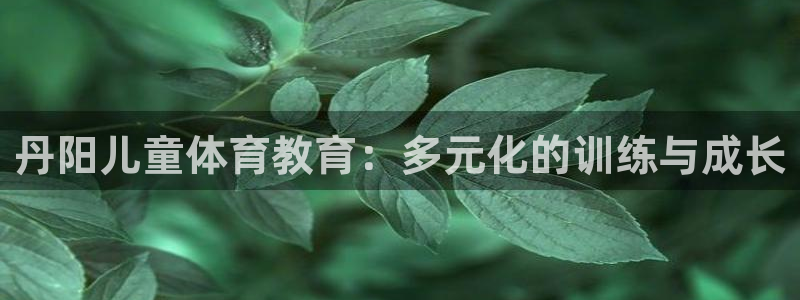 必一运动体育官网入口