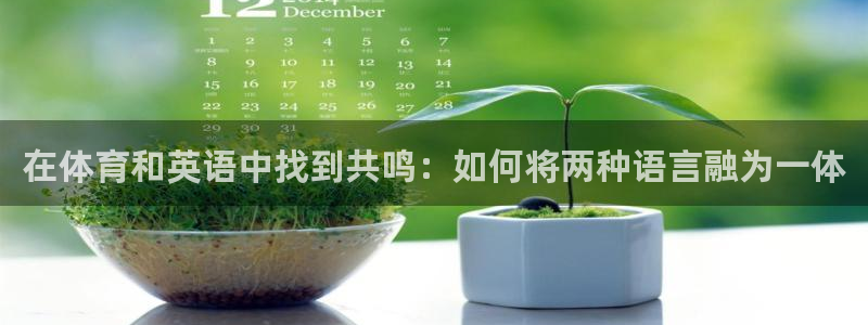 必一运动app