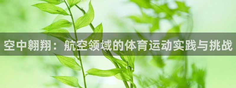 必一运动体育官网入口
