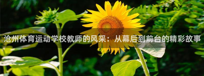 bsport必一运动
