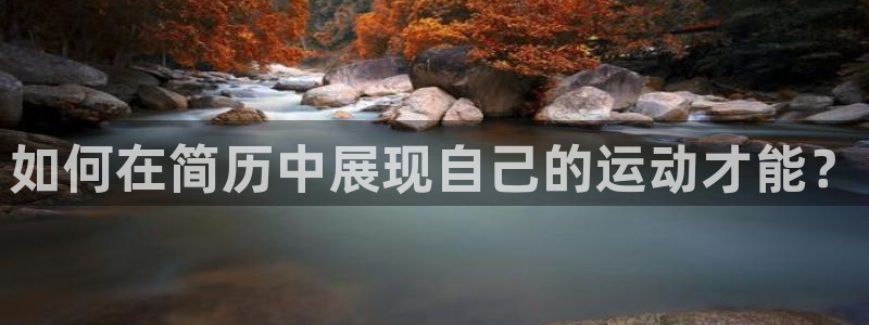 必一运动bsport体育