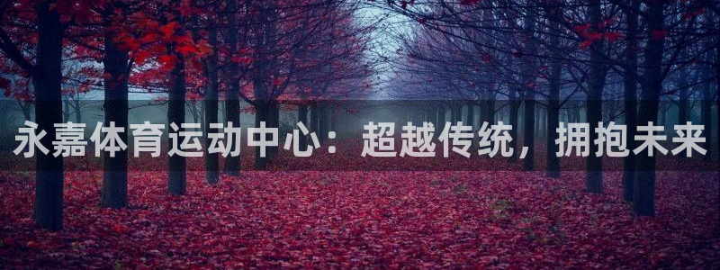 必一运动体育官网