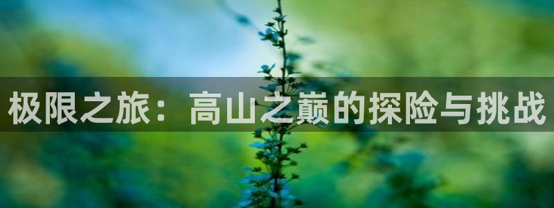 必一运动bsport体育