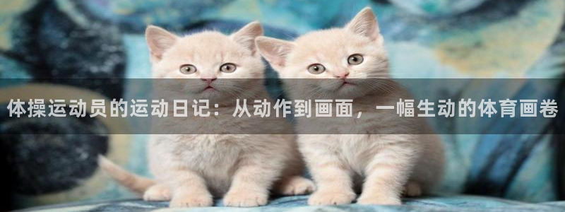 必一运动体育官网入口